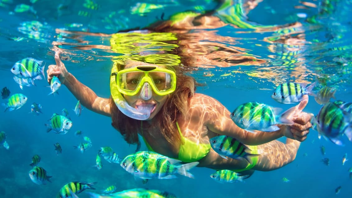 Snorkling, Thailand