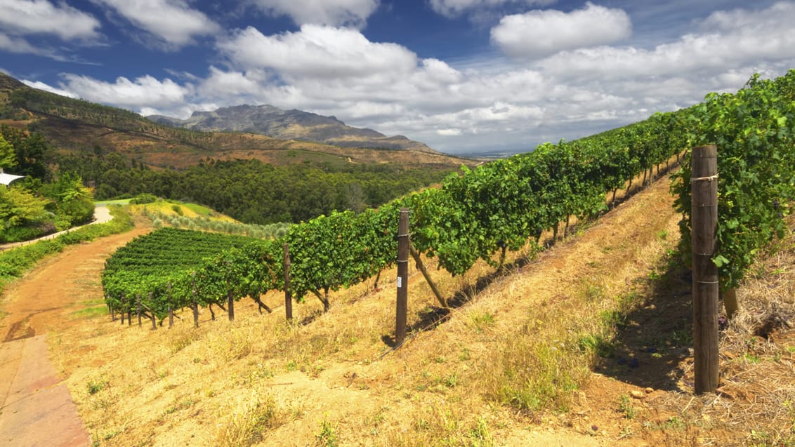 Stellenbosch, Sydafrika