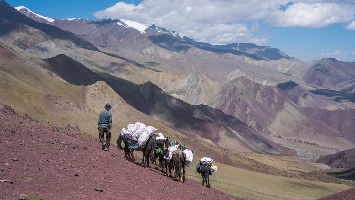 Stok Kangri Trek, Indien