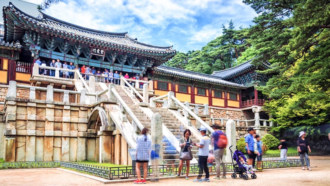 Tag med Jysk Rejsebureau på eventyr i Sydkorea