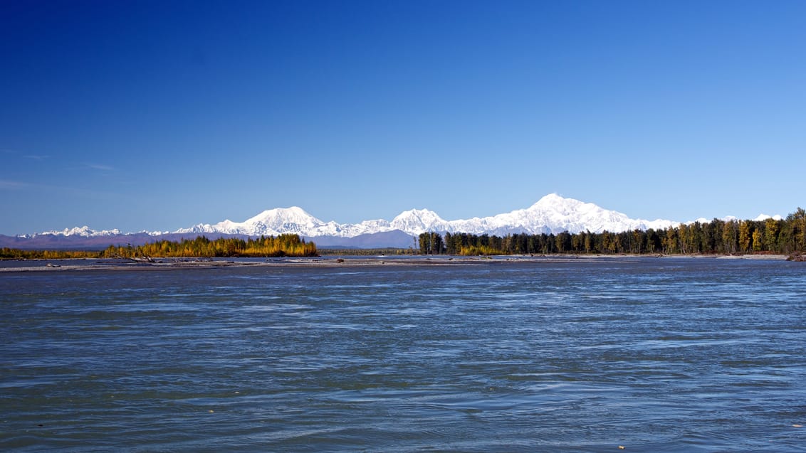 Udsigten over Denali National Park fra Talkeetna