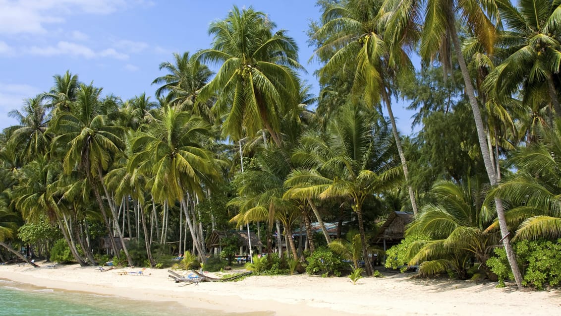 Koh Kood øen i Thailand