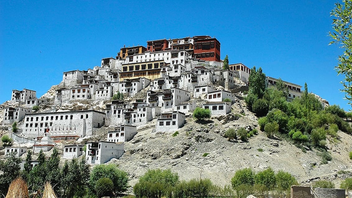 Thiksey Monastery i Leh, Indisk Himalaya