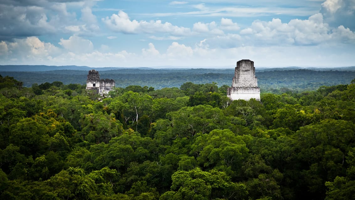 Ruinerne ved Tikal, der stikker op over trætoppene