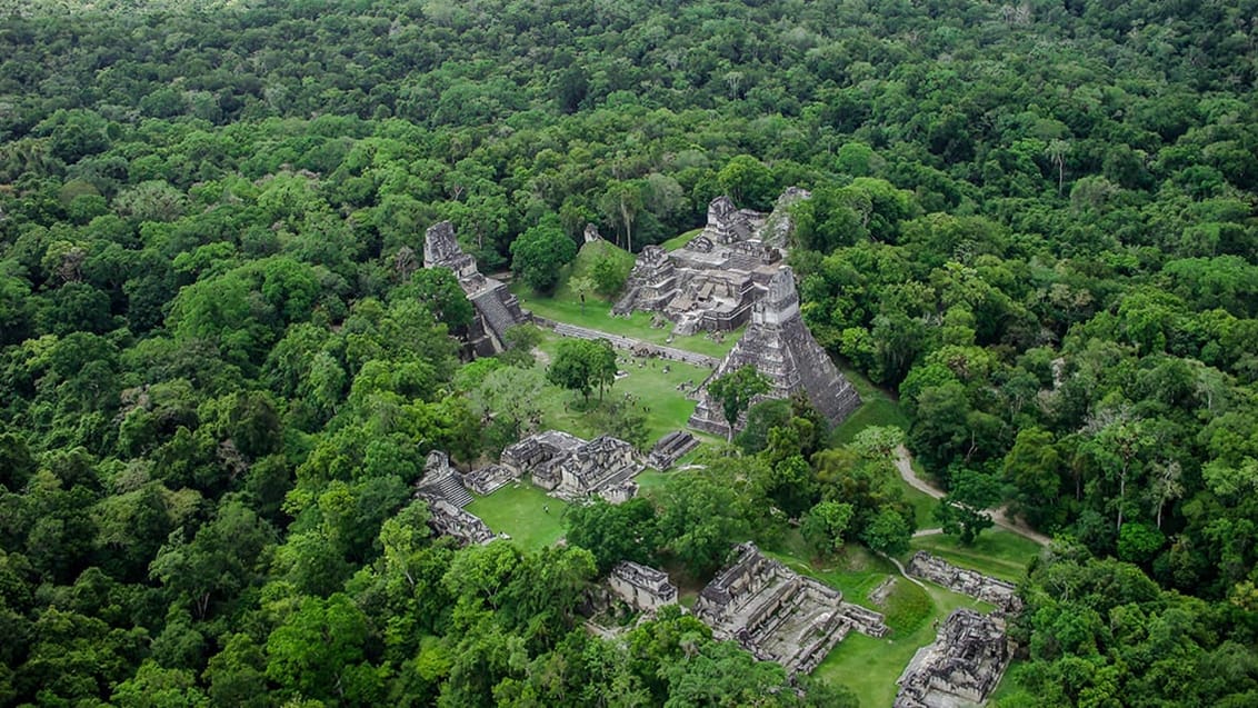 Tikalruinerne midt ude i junglen