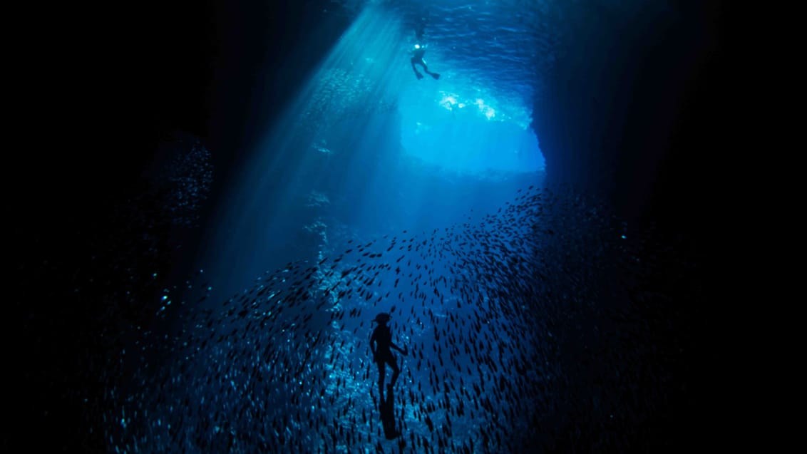 Vanuatu og Tonga byder på fantastisk dykning eller snorkling blandt farverige koralrev, kæmpe stimer af fisk, vrag og huler