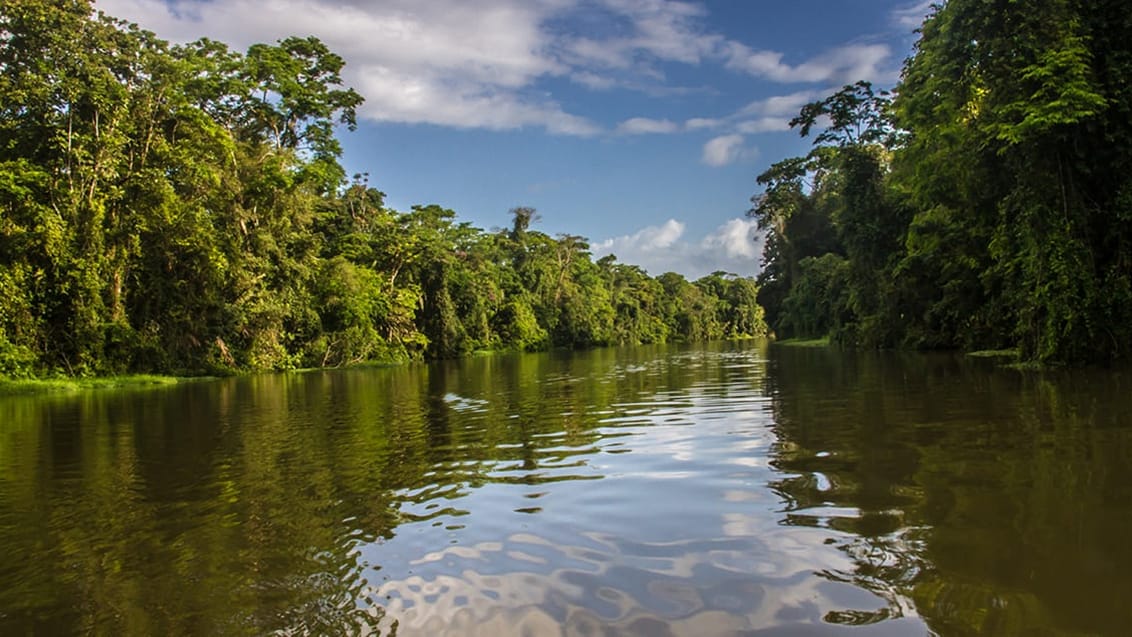 Tortuguero Nationalpark i Costa Rica