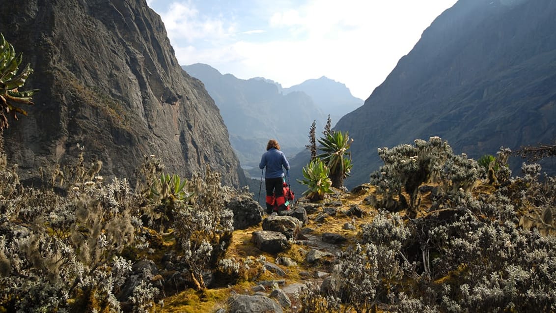 Trek i Rwenzori bjergene