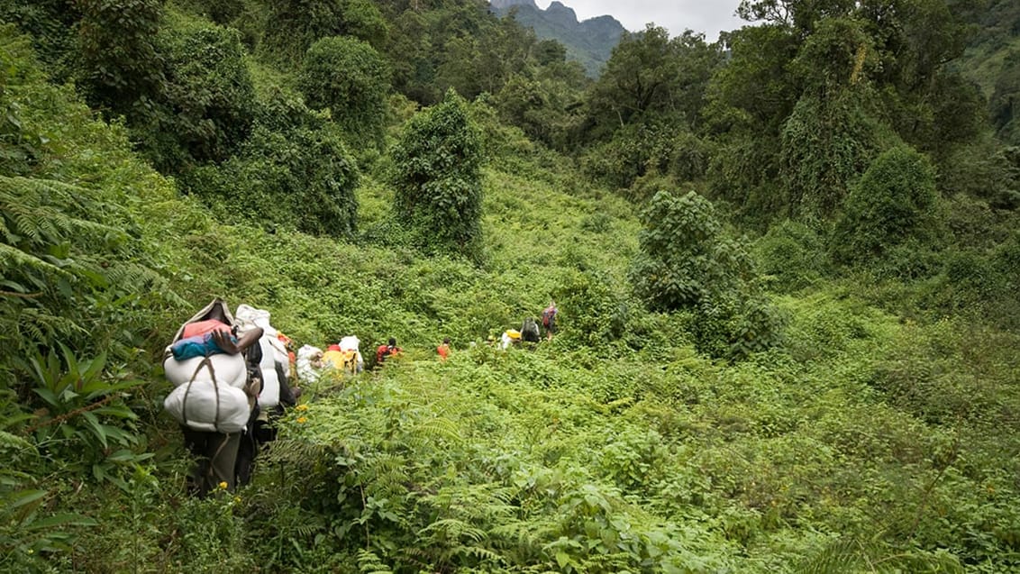 Trek i Rwenzori bjergene