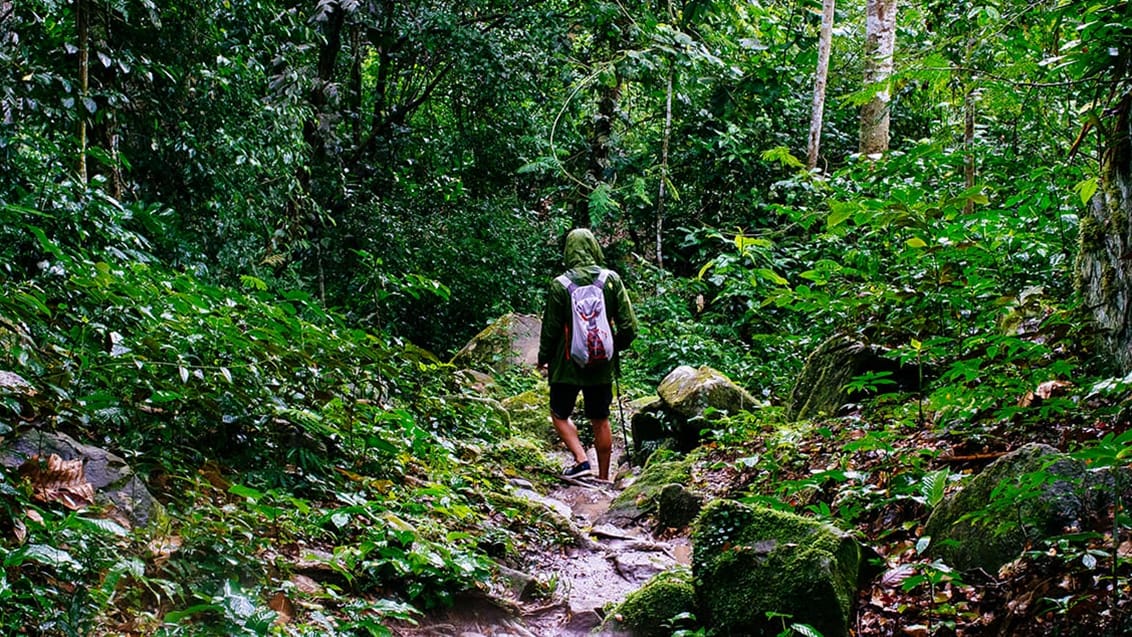 Trekkingtur i Amazonjunglen