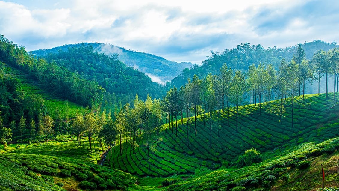 Trekking og husbådtur i Indien