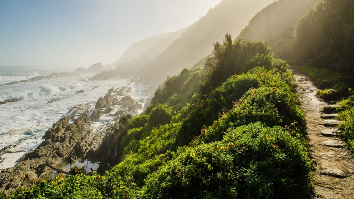 Tsitsikamma Nationalpark langs Sydafrikas sydlige kyst