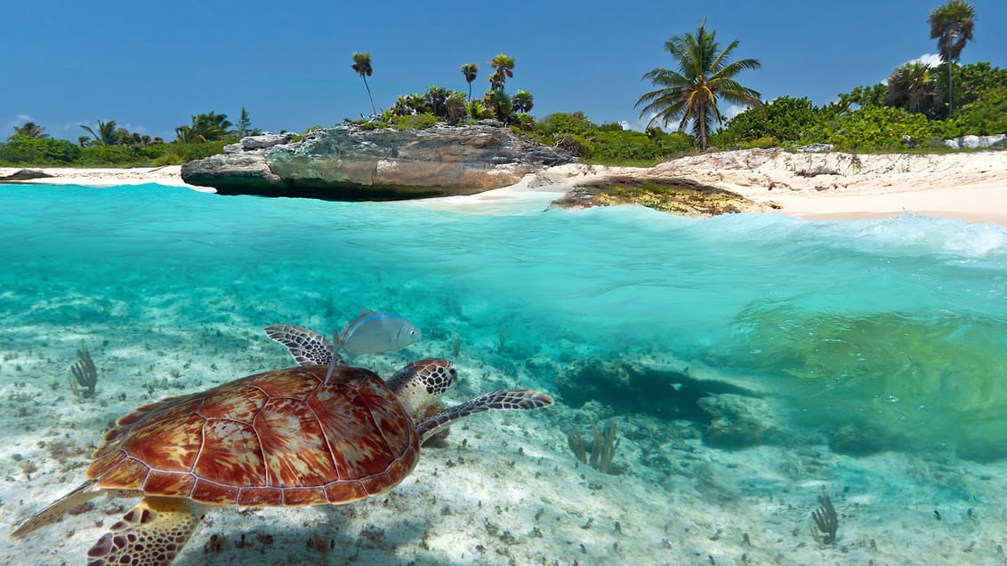 Tulum strand