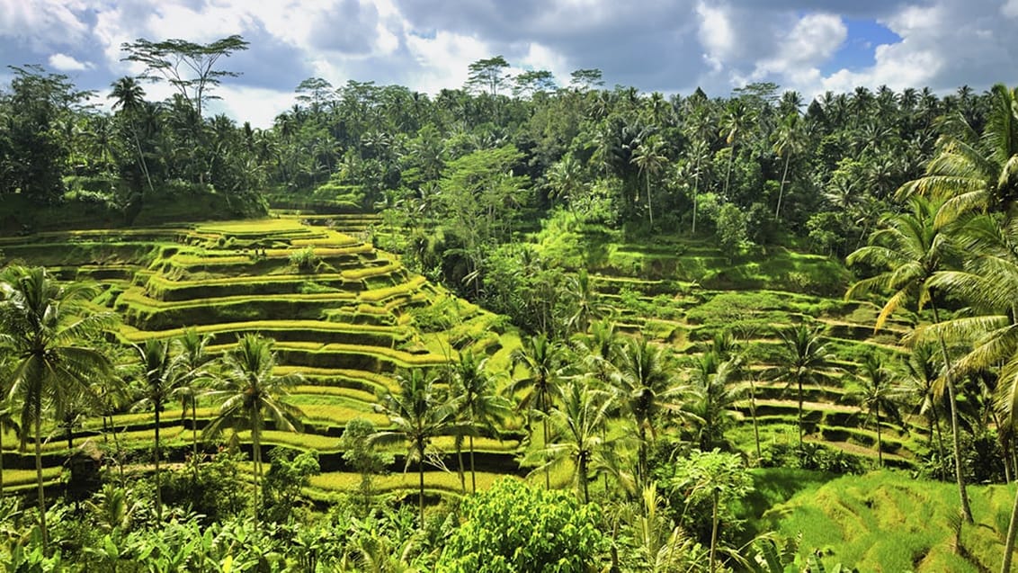 Ubud