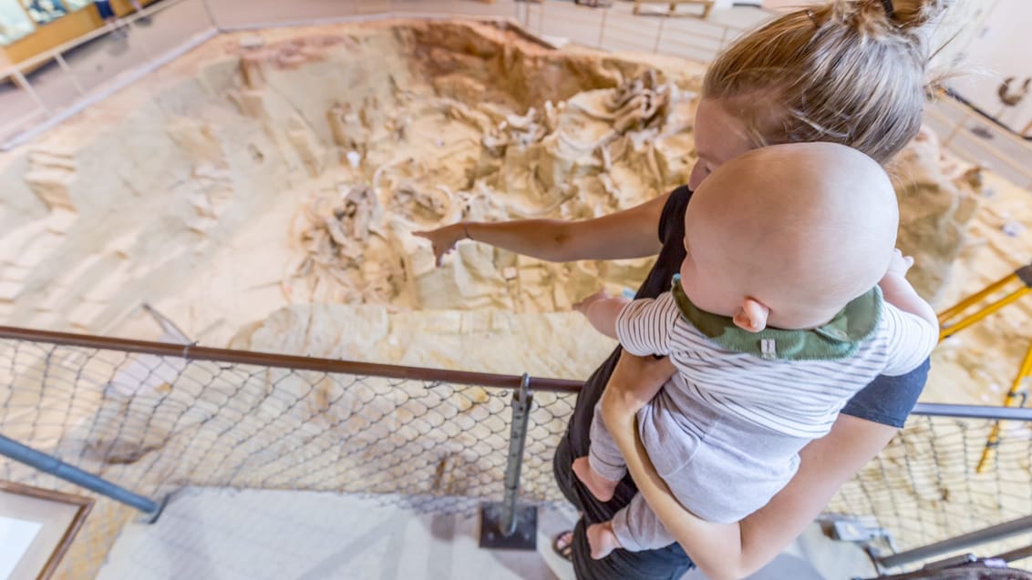 Stå midt i en arkæologiske udgravning af mammutter ved Hot Springs i Black Hills