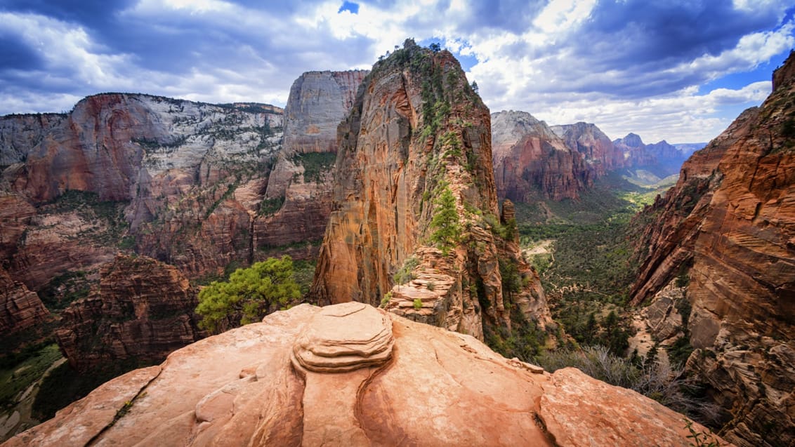 Tag på vandretur til Angels Landing i Zion National Park