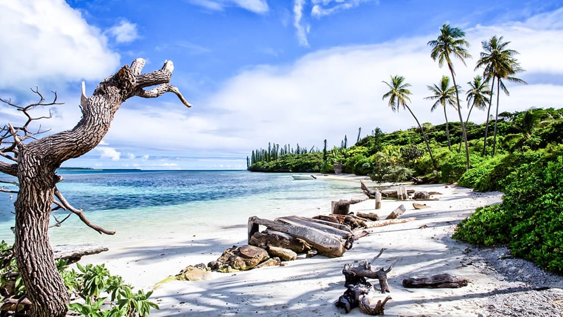 Nyd de smukke strande, det azurblå vand og de farverige koralrev på Vanuatu
