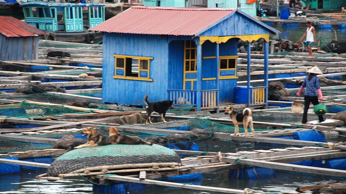 Halong Bay, Vietnam