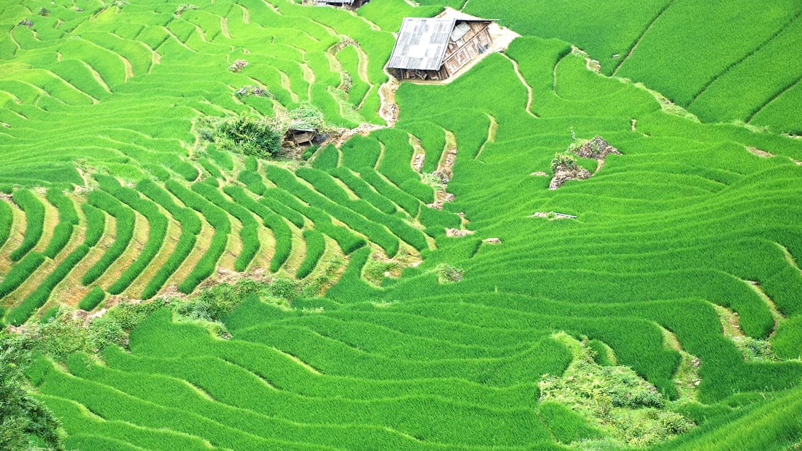 Sapa, Vietnam