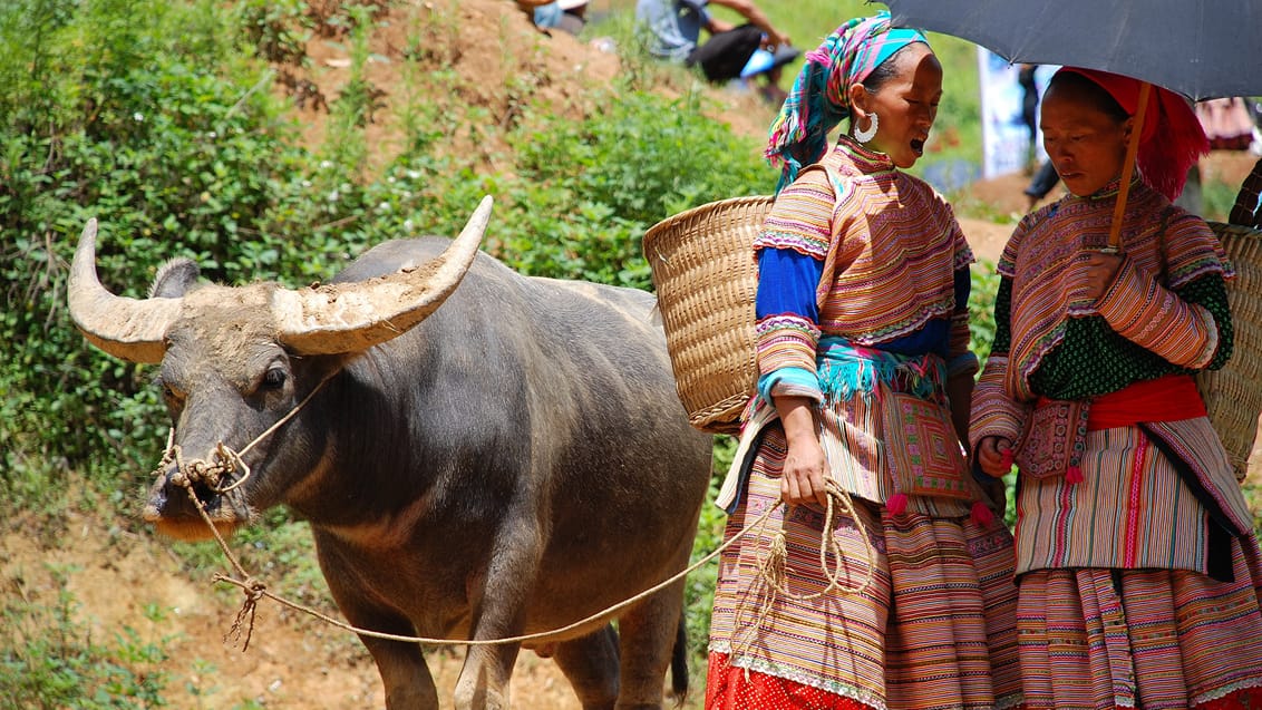 Sapa, Vietnam