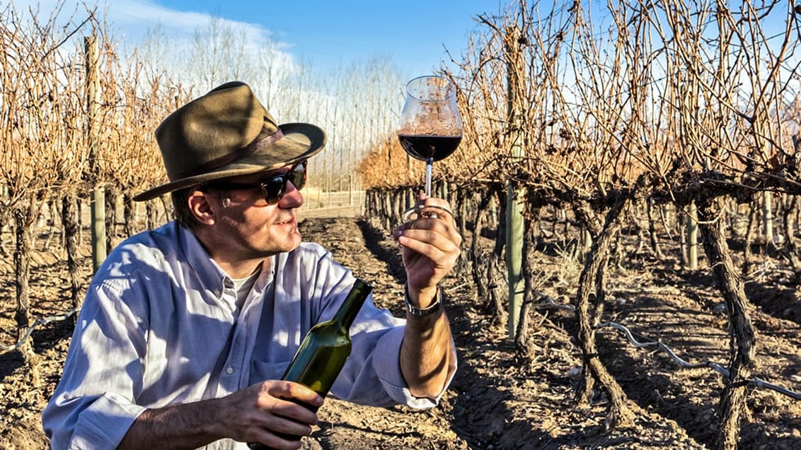 Mendoza er Argentinas vinhovedstad. Over 75% af al vin, som produceres i Argentina, produceres her i Mendoza
