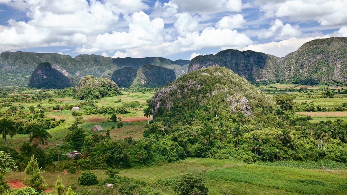 Vinales, Cuba