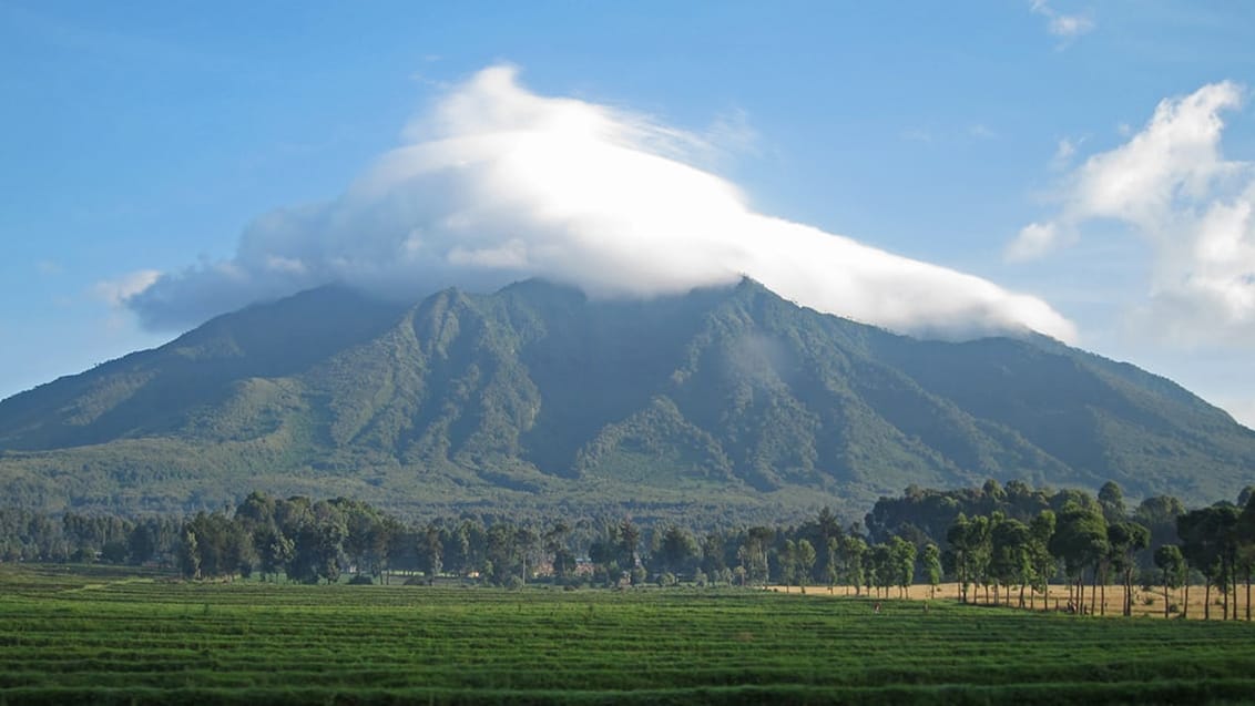 Vulkanen Mount Bisoke i Rwanda