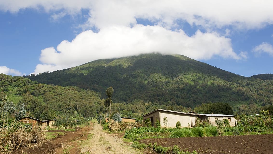 Vulkanen Mount Bisoke i Rwanda