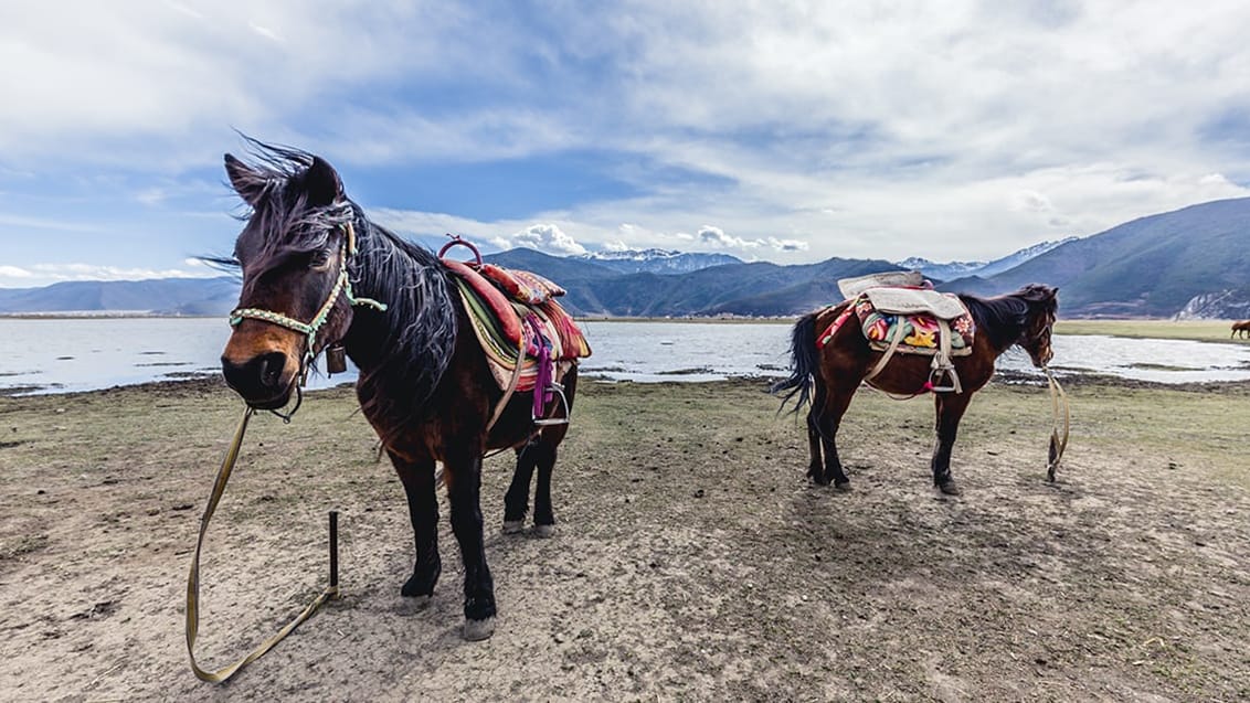 Du føler virkelig, du er ankommet til Tibet, da du befinder dig på et høj-plateau omgivet af bjerge, tibetanere og buddhistiske templer