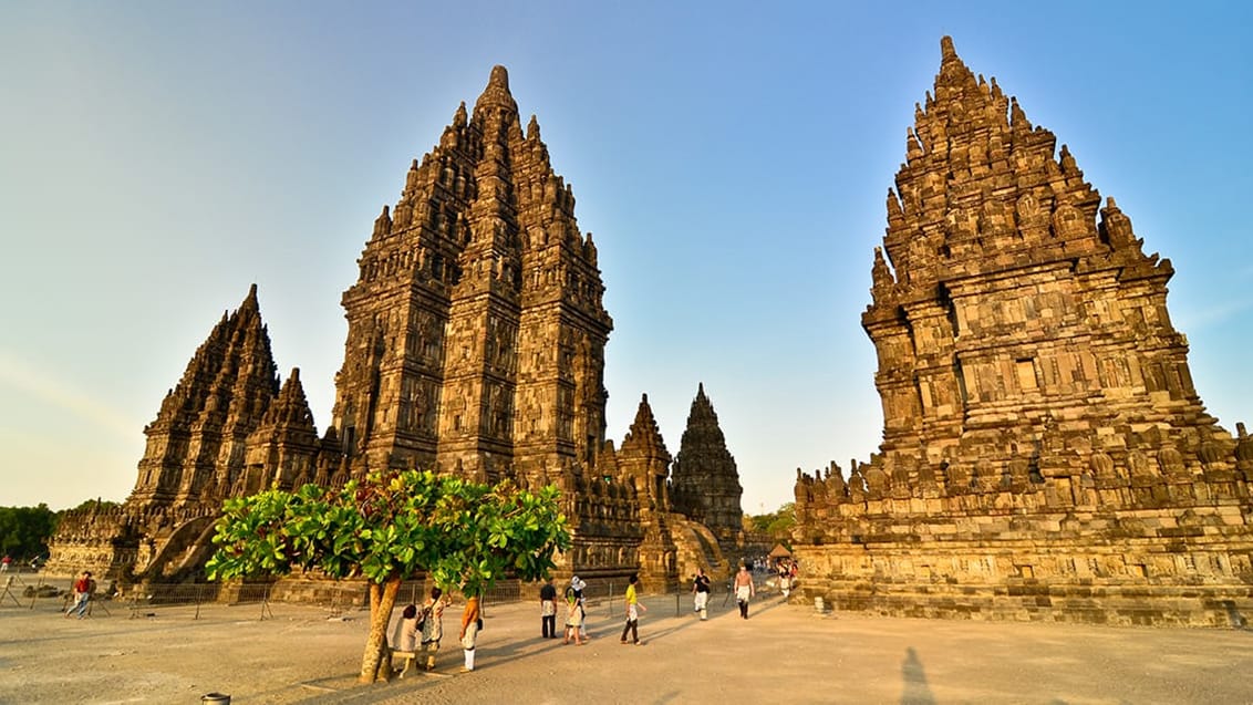 Prambanan templet på Java