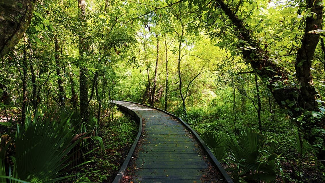 Bako National Park