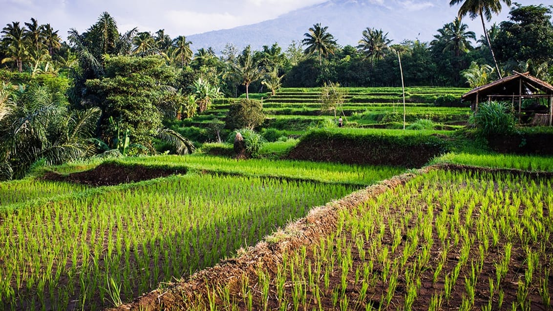 Bali-Lombok cykelrejse