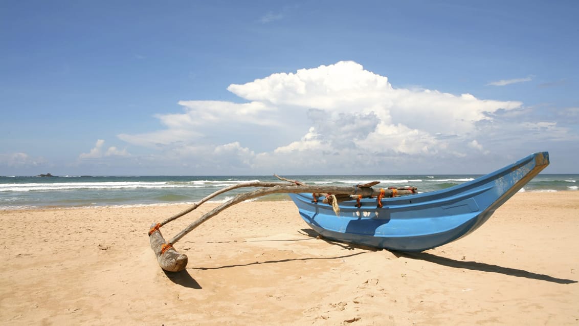 Natur og kultur i Sri Lanka og Maldivernes ø-hav | Jysk Rejsebureau