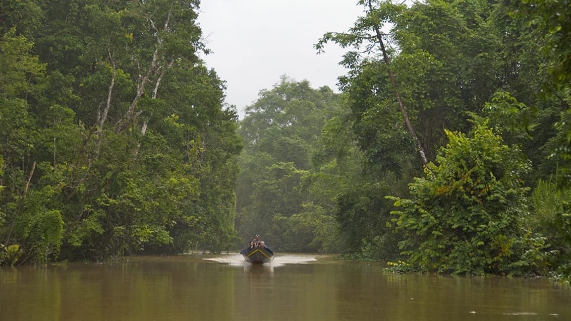 Kinabatangan floden