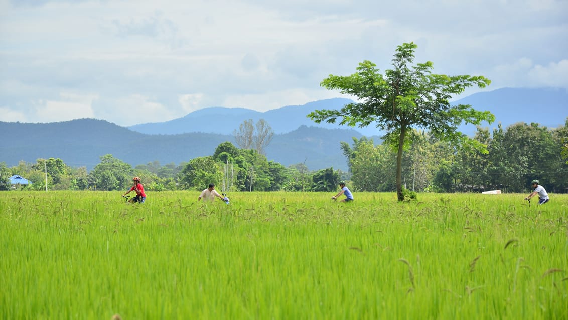 Cykling, Chiang Mai, Thailand