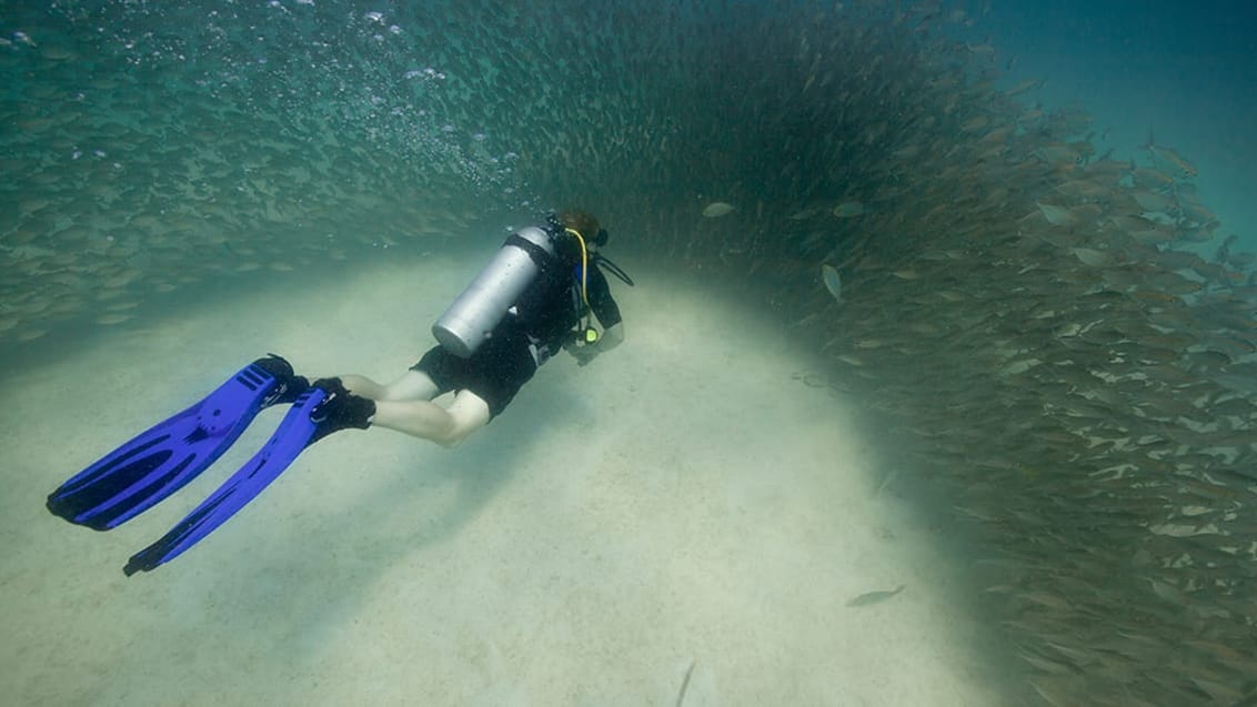 Koh Tao, Thailand