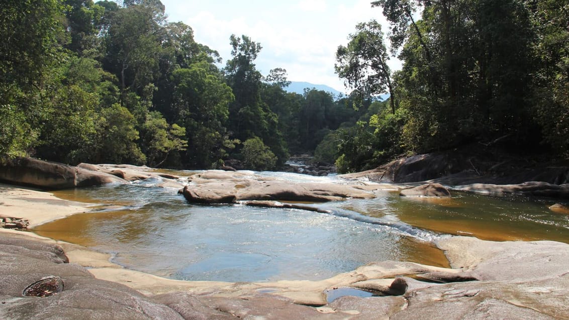 Endau Rompin