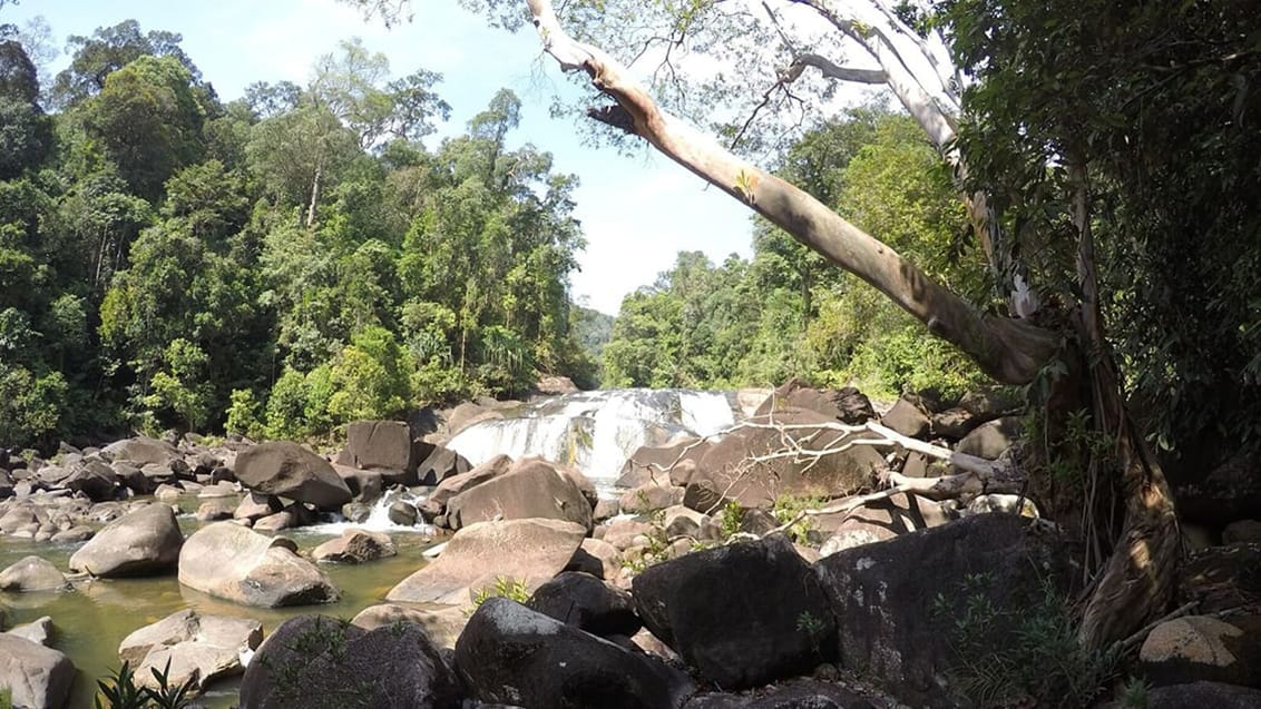 Endau Rompin