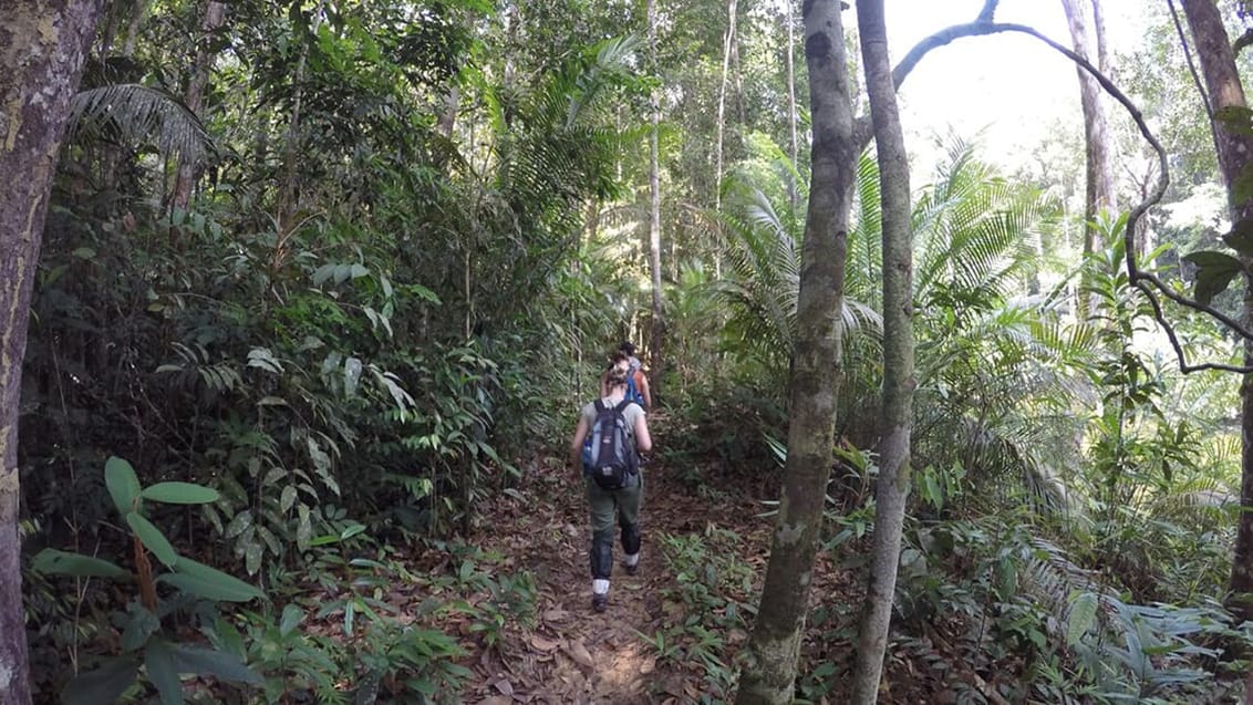 Endau Rompin