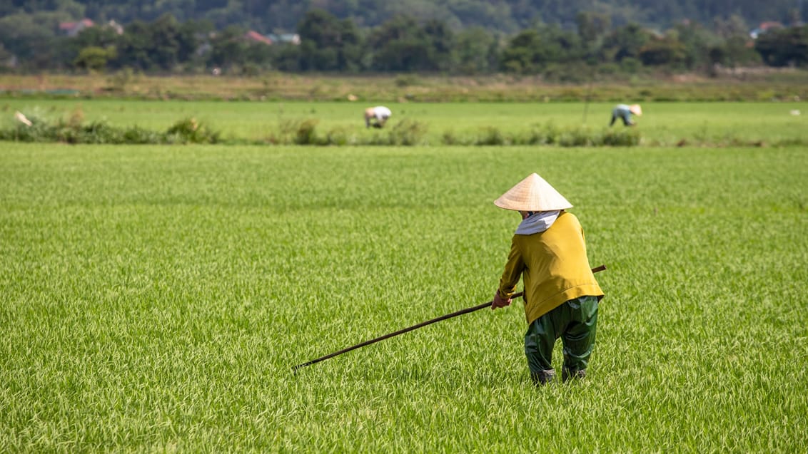 Hoi An, Vietnam