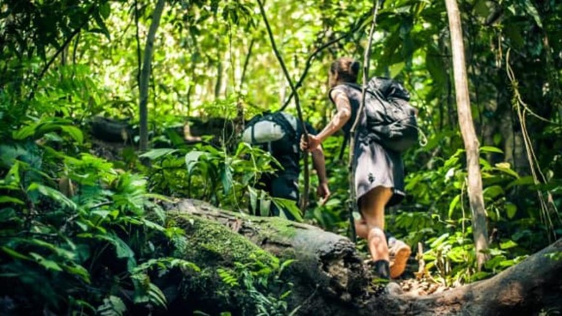 Jungle trekking, Bukit Lawang, Sumatra, Indonesien