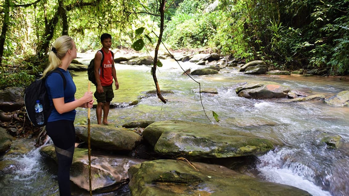 Jungle trekking Sumatra, Indonesien