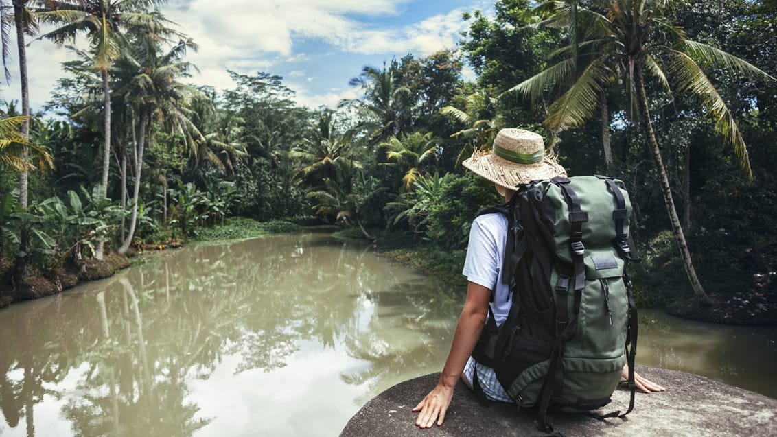 Jungle i Sarawak