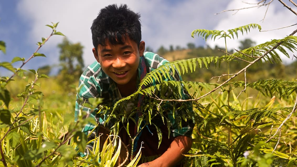 kalaw - myanmar