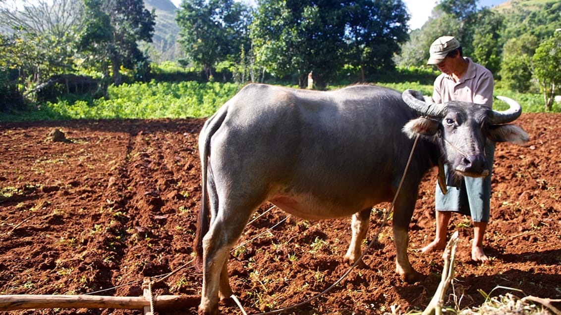 Kalaw - Myanmar