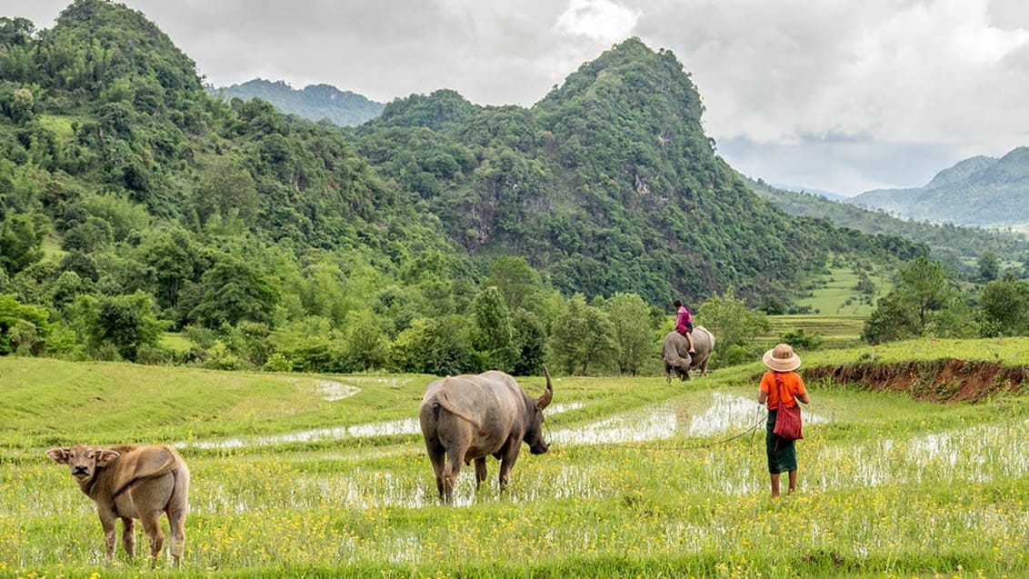 Kalaw Trekking