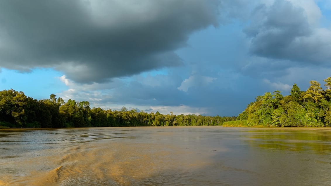 Kinabatangan river på Borneo