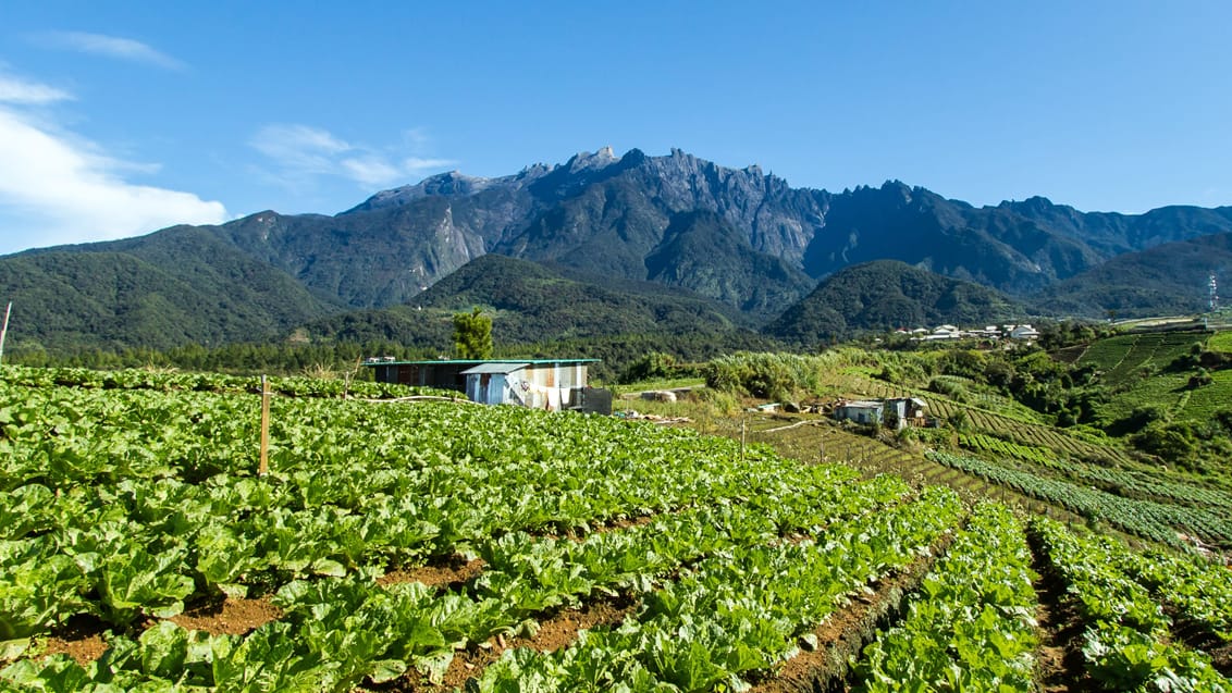 Naturskønne udsigtspunkter undervejs til Kiulu Valley på Borneo