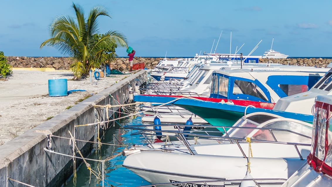 Maafushi Maldiverne