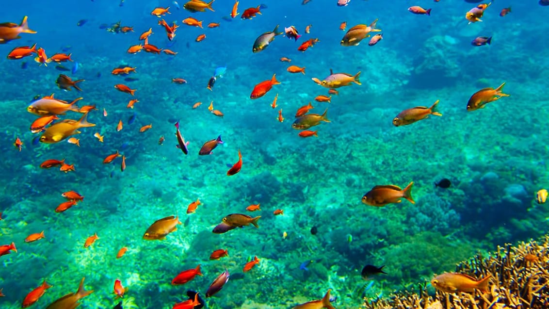 Mabul Borneo